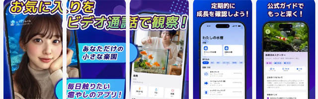 カブトアプリで小さな楽園を楽しもう